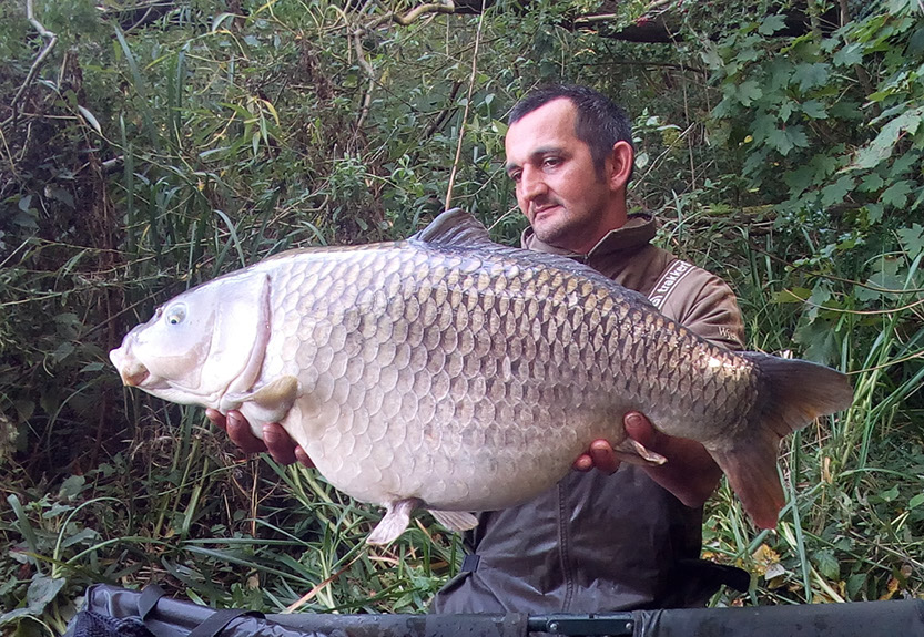 25lb Silver Common. September 2020. Peg 6