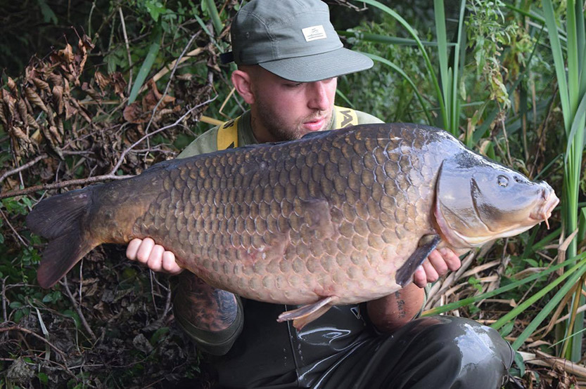 30lb+ C Scale Common. September 2016