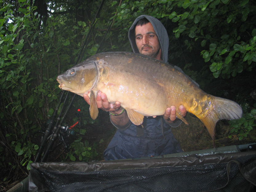 19lb. July 2015. Arena