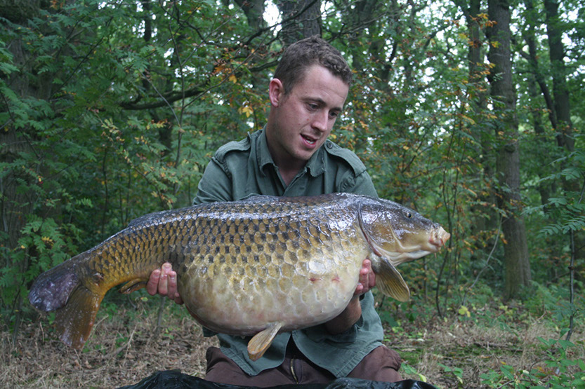 33lb Scruffy Common  (Beginners Peg)