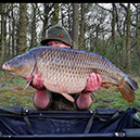 31lb 8oz C Scale Common. May 2016. Beginners Peg