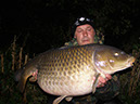 33lb Scruffy Common. Goose Point. October 2014