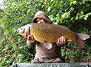 Low 20lb Common. September 2017