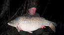 31lb 12oz C Scale Common. December 2015