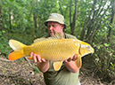 9lb 12oz Koi Common. July 2022.