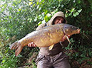 20lb Scaly Mirror. September 2017