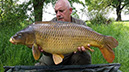 27lb 8oz The Creased Common (Teabag)