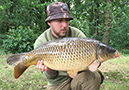 Double figured Common. August 2016. Beginners Peg