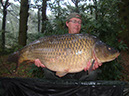 31lb C Scale Common. September 2016