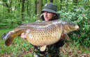 31lb 6oz Crocodile Common. May 2016