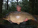 31lb 9oz C Scale Common. Septembr 2016. (1)