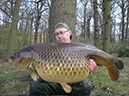 30lb 2oz Crocodile. April 2016. Beginners Peg