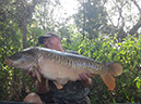 24lb 4oz. August 2022. Jungle Point