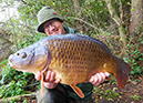 26lb+ Baby Fat Common. October 2017. Muds