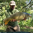 Field side Common. August Bank Holiday 2018