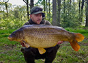 29lb Creased Common. May 2018. Beginners