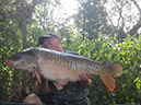 24lb 4oz. August 2022. Jungle Point