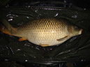 22lb 5oz (Weedy Bay)