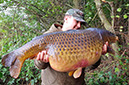 36lb 3oz Crocodile. October 2017. Muds