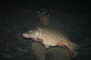 26lb