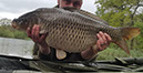 28lb 8oz. May 2017. Beginners Peg