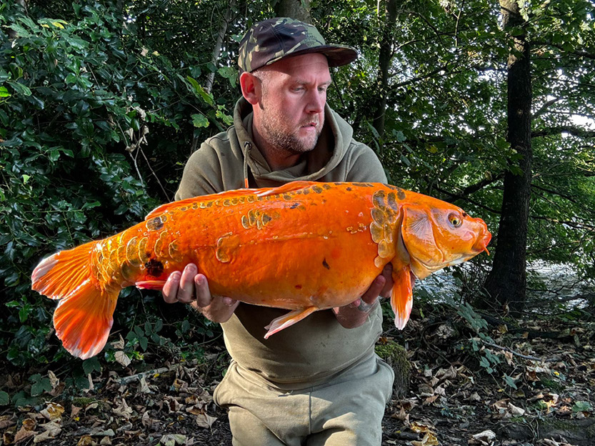 17lb 4oz Carrot. September 2024