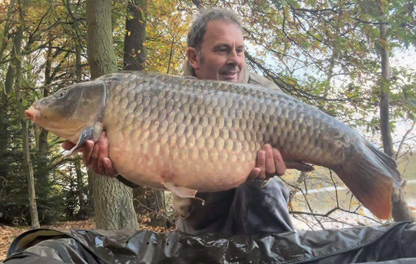 38lb C Scale. November 2024 1