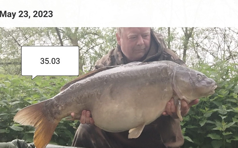 35lb 3oz Cauliflower. May 2023. Jungle Point