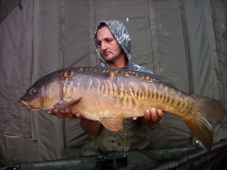 17lb. June 2020
