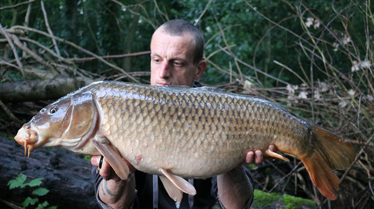 20lb+ Common. June 2019. Peg 1