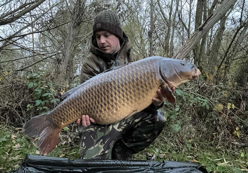 31lb Scratch. November 2024