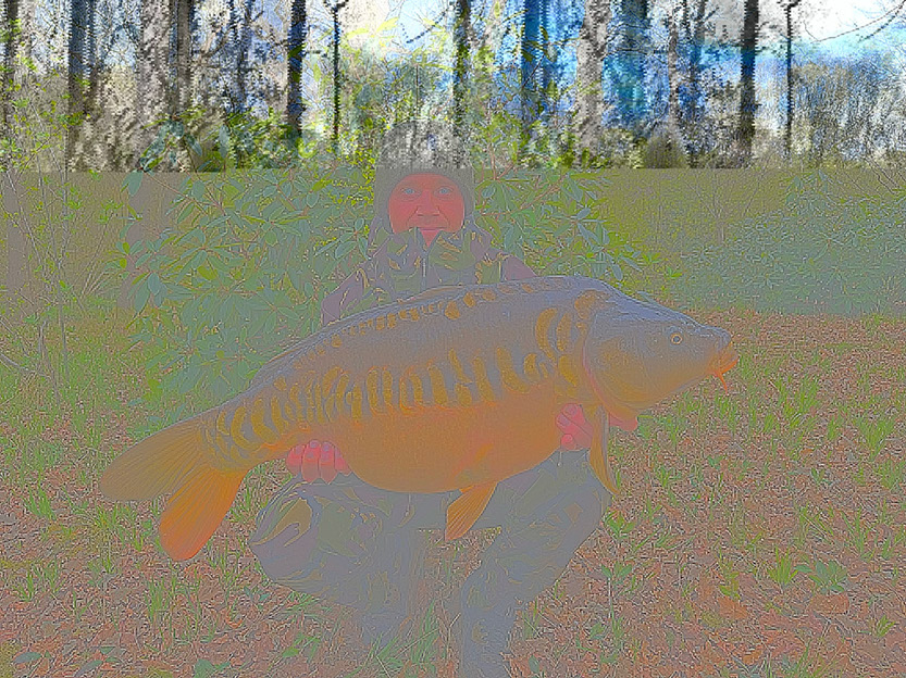 26lb Stella. April 2025