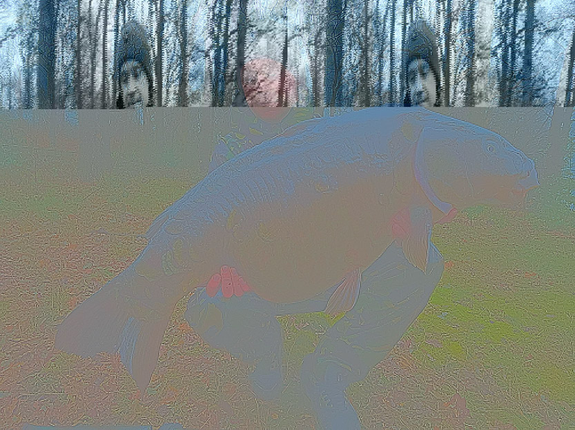 34lb 12oz Cauliflower. March 2025