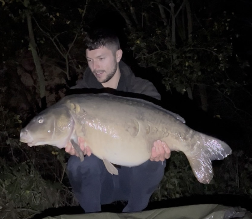 36lb Cauliflower. October 2025