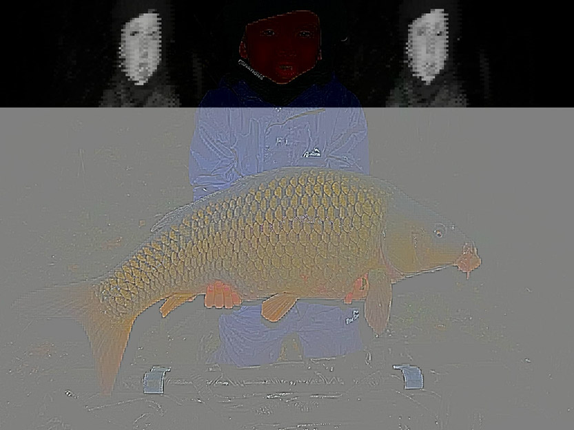 Commons. November 2024