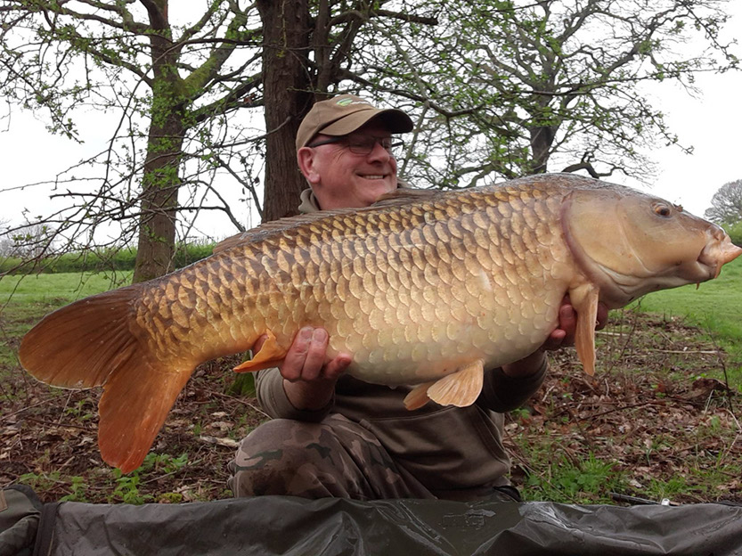 31lb 4oz Two tone. April 2023. Teabag