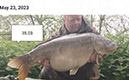 35lb 3oz Cauliflower. May 2023. Jungle Point