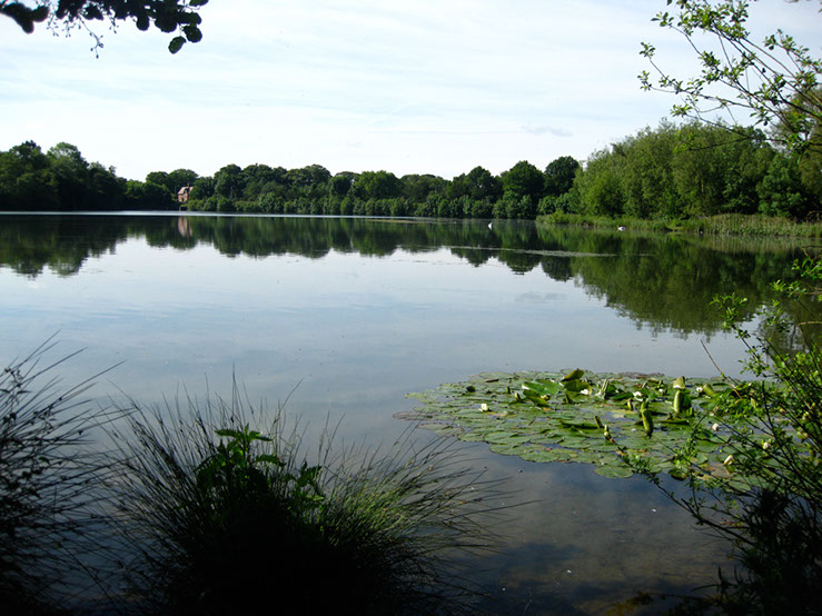 Weedy Bay towards Dam Wall