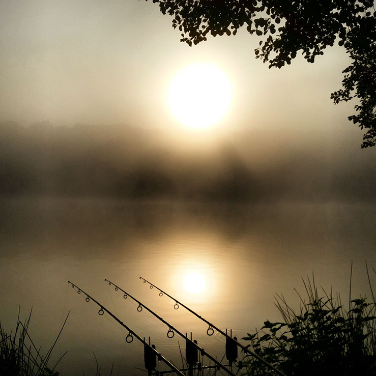 Misty Morning