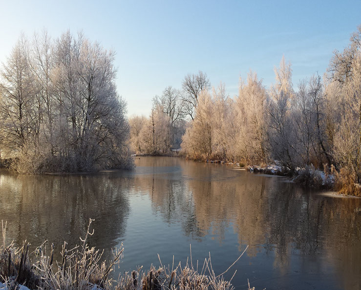 A Wintery Shallows