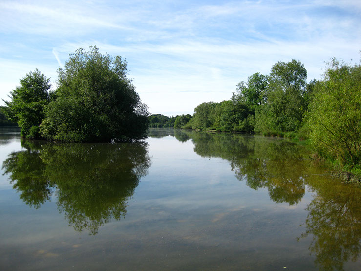 View from Island Jetti in Shallows