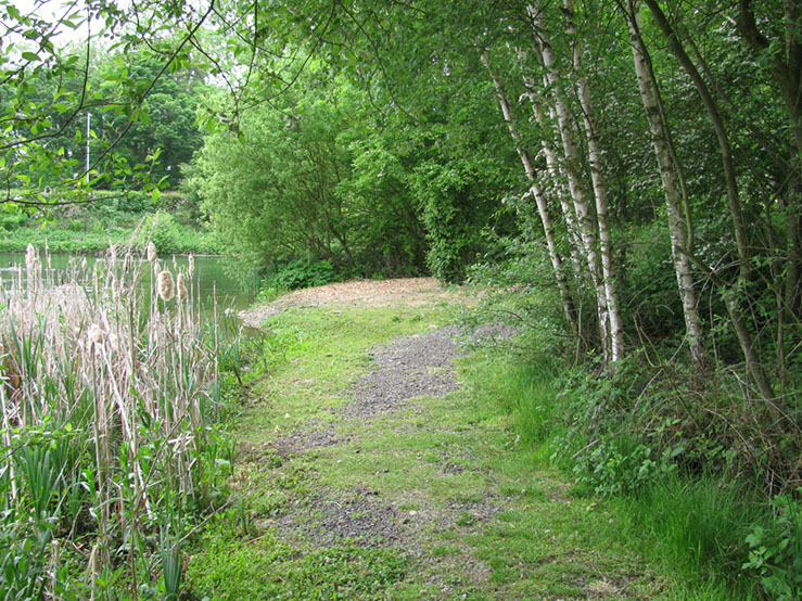 Path to Coconut