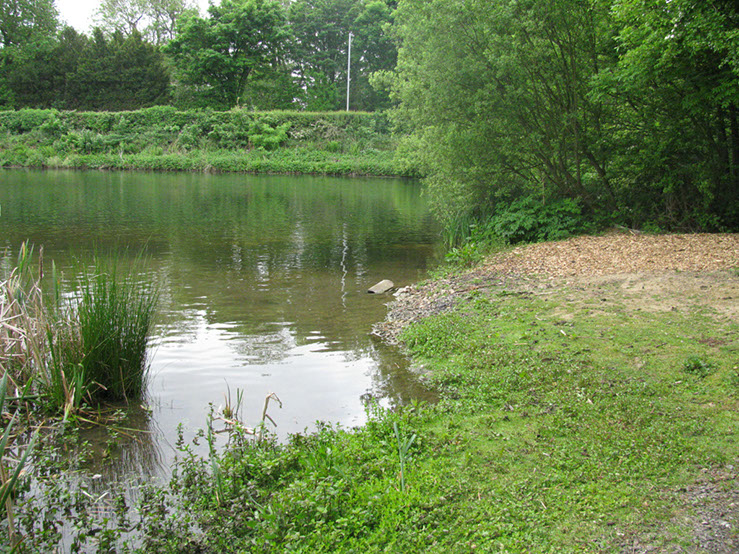 Dam wall from Coconut swim