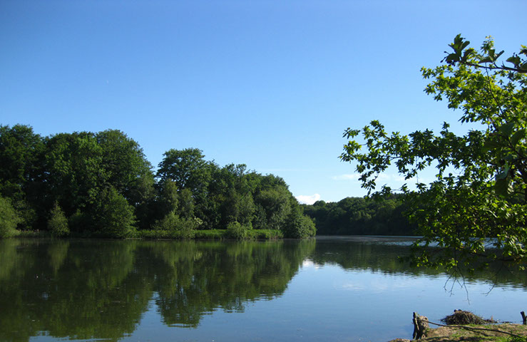 Island Jetti in Shallows looking towards the Point