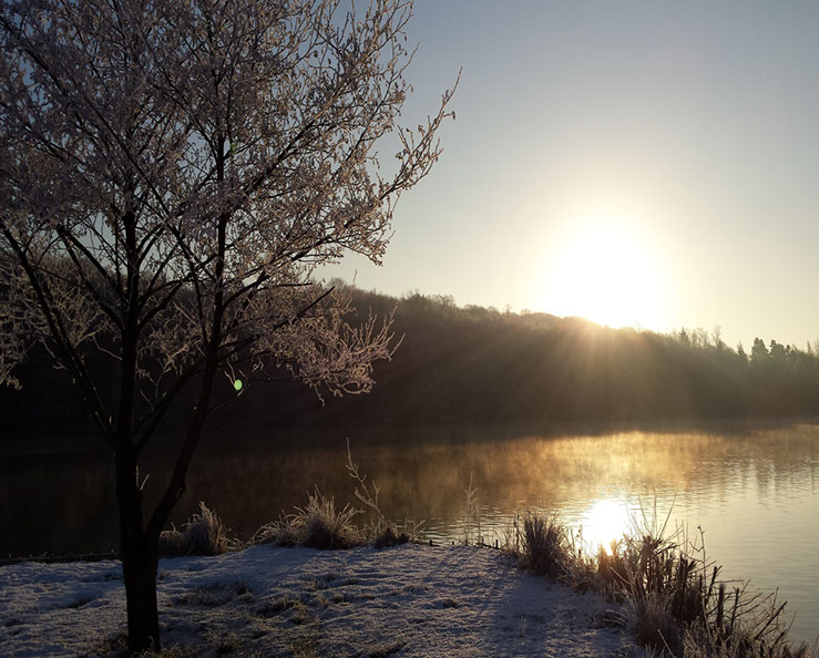 Crisp Sunrise