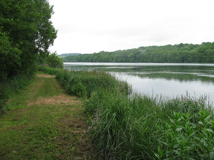 Swims & path, Gate 1