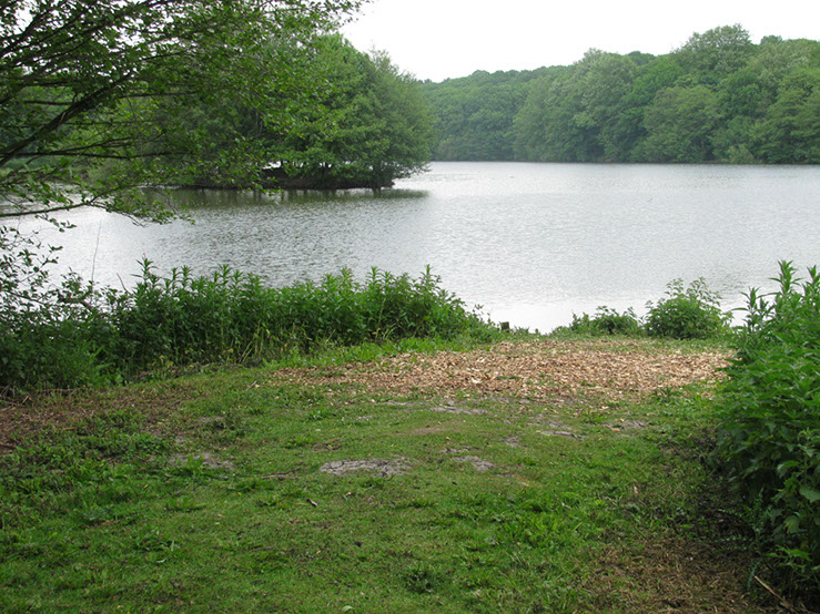 Goose Point swim