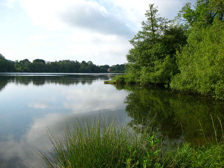 Shallows looking towards Dam Wall