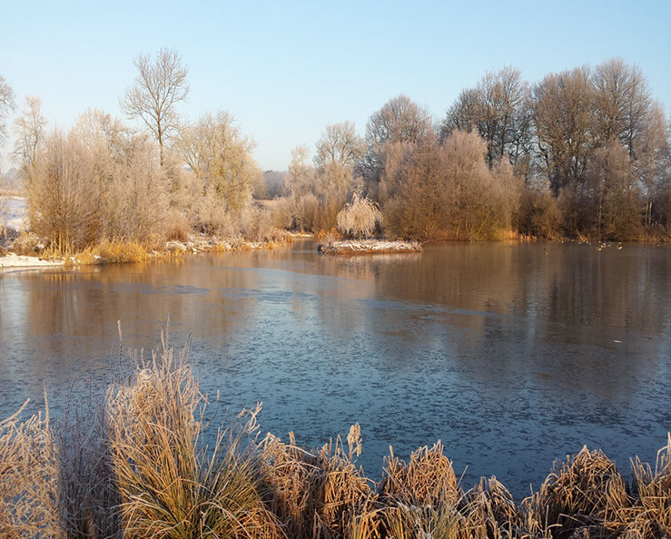 Icy Shallows