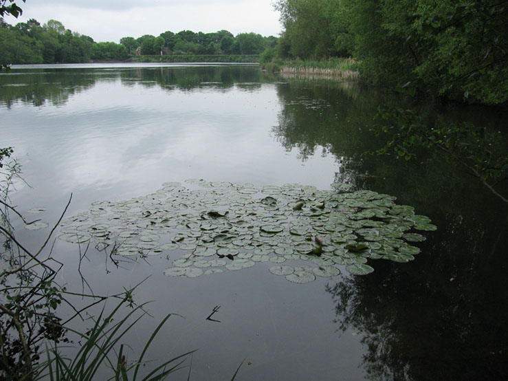 Weedy Bay Inlet